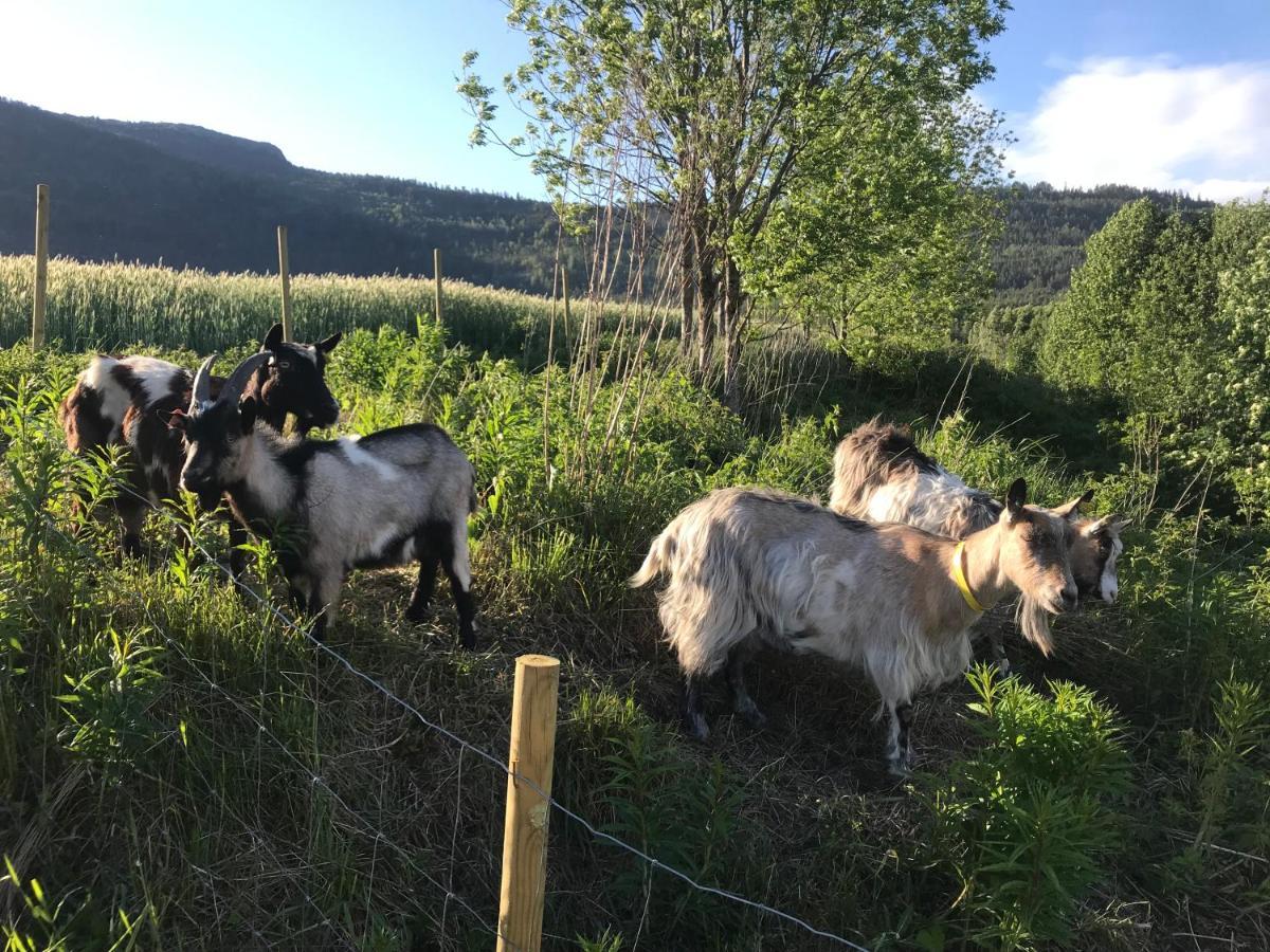 Gardsturisme Sonstebo Hotel Bo (Telemark) Luaran gambar